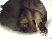 ファイル 1201-4.jpg