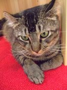 ファイル 1201-5.jpg