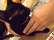 ファイル 1208-1.jpg