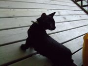 ファイル 1208-2.jpg