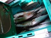 ファイル 1209-3.jpg