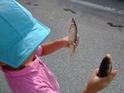 ファイル 1209-4.jpg