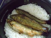 ファイル 1210-1.jpg