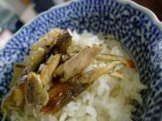 ファイル 1210-2.jpg