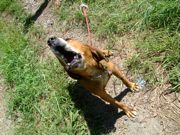 ファイル 1211-1.jpg