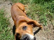 ファイル 1211-2.jpg