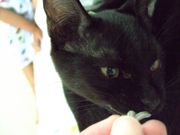 ファイル 1212-1.jpg