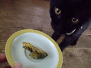 ファイル 1212-4.jpg