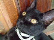 ファイル 1213-2.jpg