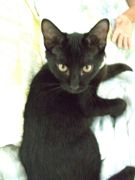 ファイル 1213-3.jpg