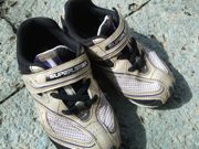 ファイル 1215-1.jpg