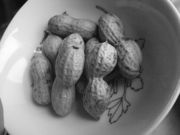 ファイル 1218-1.jpg