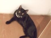 ファイル 1221-1.jpg