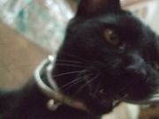 ファイル 1221-2.jpg