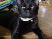 ファイル 1225-1.jpg