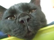 ファイル 1235-2.jpg