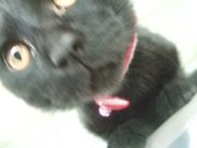 ファイル 1235-4.jpg