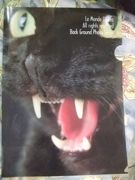 ファイル 1249-1.jpg