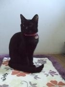 ファイル 1257-2.jpg