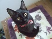 ファイル 1257-3.jpg