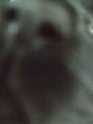 ファイル 1257-4.jpg