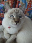 ファイル 1264-2.jpg