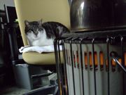 ファイル 1268-4.jpg