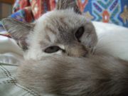 ファイル 1272-1.jpg