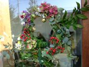 ファイル 1285-2.jpg