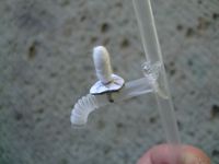 ファイル 1289-2.jpg