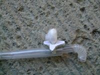 ファイル 1289-3.jpg