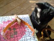 ファイル 1295-3.jpg