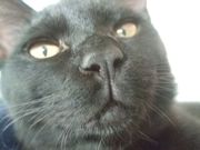 ファイル 1303-2.jpg