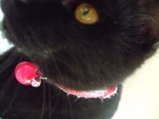 ファイル 1303-4.jpg