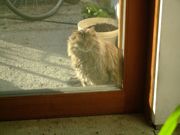 ファイル 1310-1.jpg