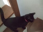 ファイル 1310-3.jpg