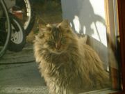 ファイル 1310-4.jpg