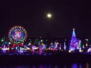 ファイル 1312-1.jpg