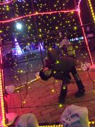 ファイル 1312-2.jpg