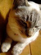 ファイル 1316-2.jpg