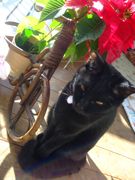 ファイル 1322-1.jpg