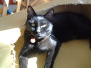 ファイル 1323-2.jpg