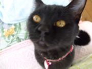 ファイル 1323-4.jpg