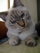 ファイル 1323-5.jpg