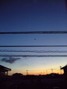 ファイル 1327-1.jpg