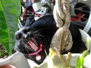 ファイル 1328-2.jpg