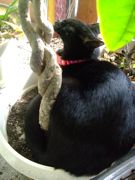 ファイル 1328-3.jpg