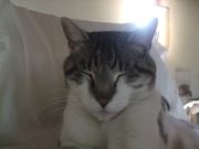 ファイル 1331-2.jpg