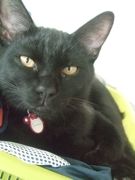 ファイル 1331-4.jpg