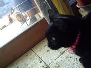 ファイル 1337-2.jpg